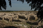 Ugarit