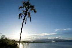 Foto aus Malawi