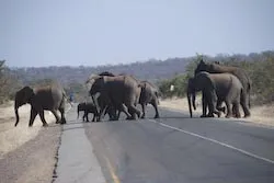 Foto aus Namibia