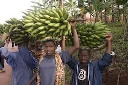 Foto aus Ruanda