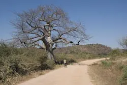 Foto aus Sambia