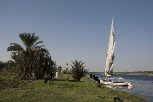 Felucca Trip