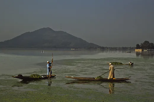 Boote auf dem Dal-See in Srinagar