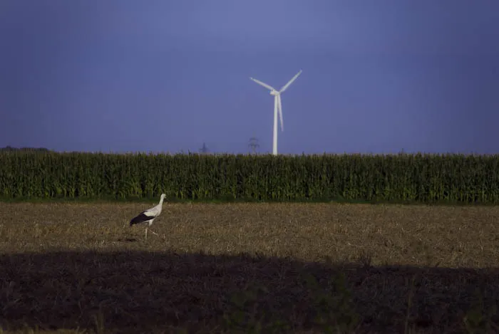 Foto aus Deutschland