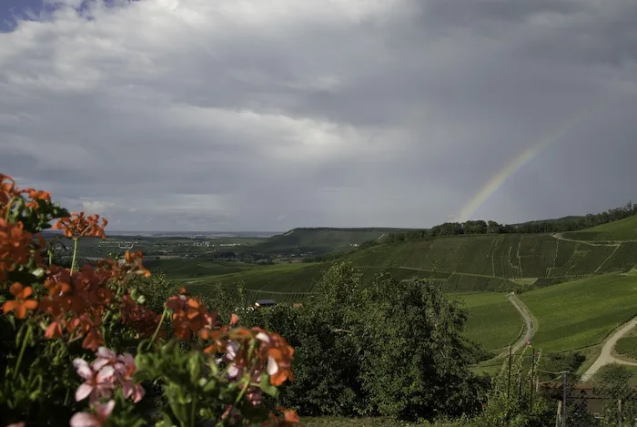 Im Schwabenland kommt die sonne raus