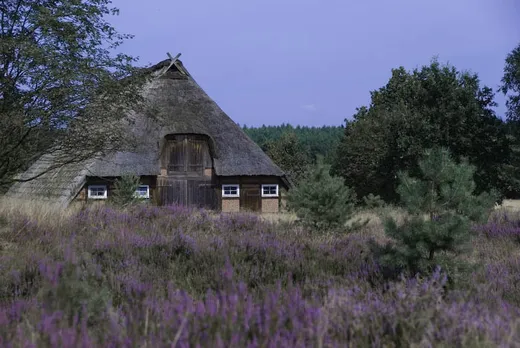 ...der Lüneburger Heide