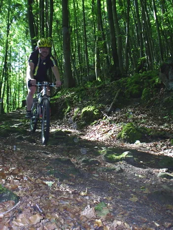 Mountainbike in Egloffstein