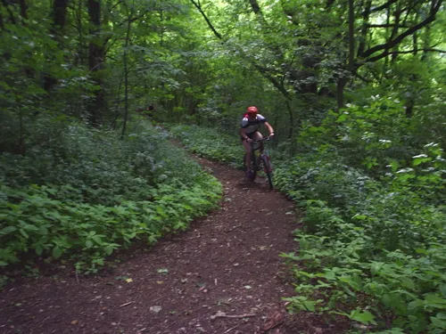 Mountainbike in Egloffstein