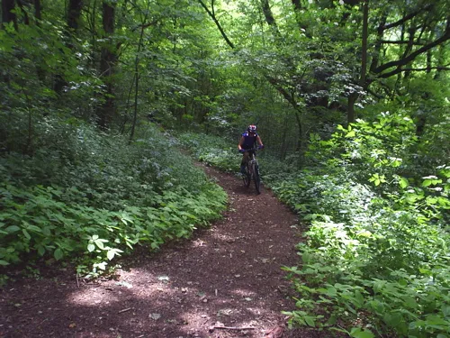 Mountainbike in Egloffstein