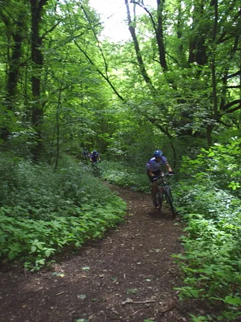 Mountainbike in Egloffstein