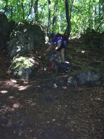 Mountainbike in Egloffstein