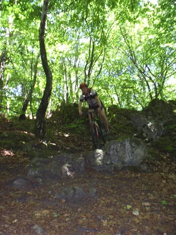Mountainbike in Egloffstein