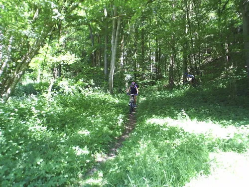 Mountainbike in Egloffstein