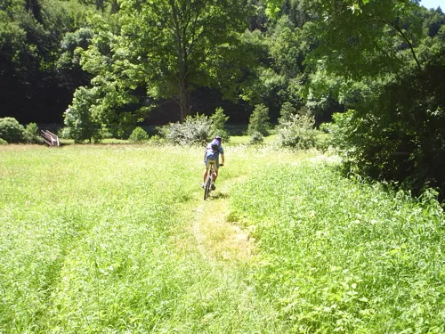 Mountainbike in Egloffstein