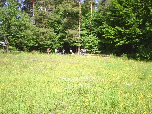 Mountainbike in Egloffstein