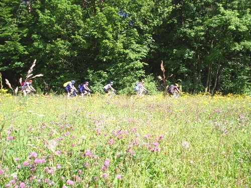 Mountainbike in Egloffstein