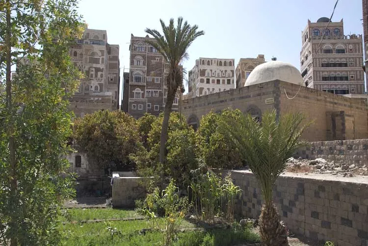Sanaa