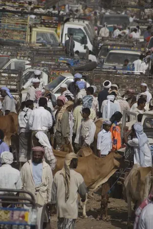 Markt in Baith al Fahkir