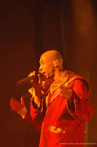 Seeed