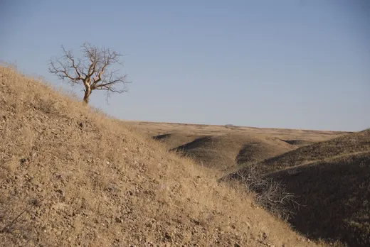 Namib