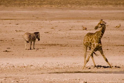 Etosha