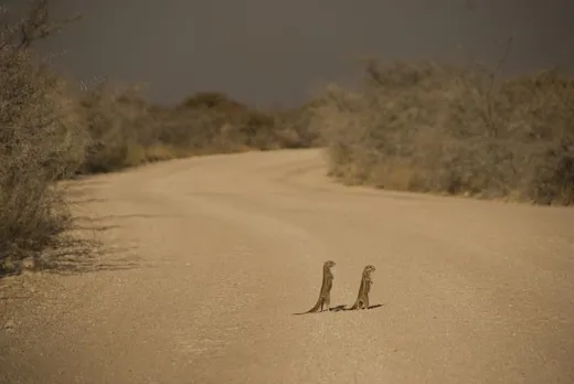 Etosha