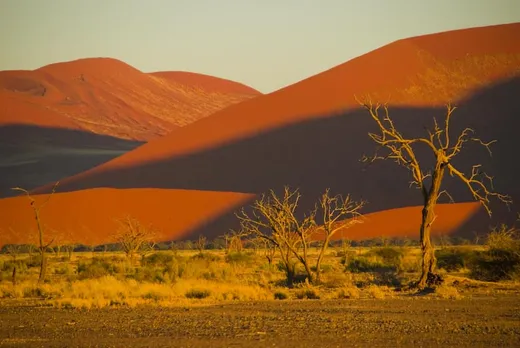 Dünen in der Namib