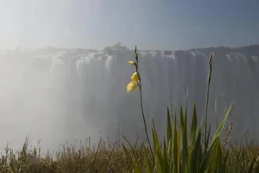 Victoria Falls