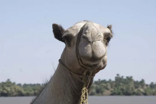 Sudan