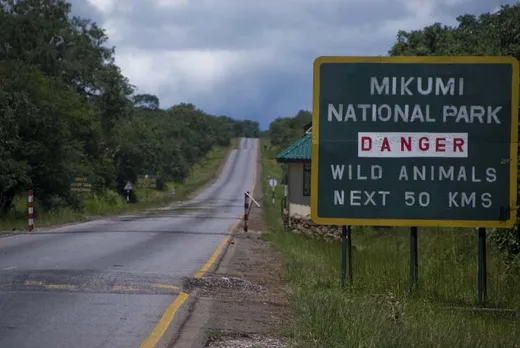 Der Mikumi Nationalpark ist einer der wenigen