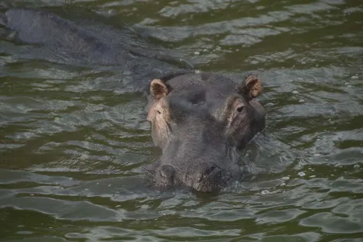Oder aber im Wasser