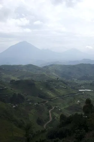 Blick auf dieVirunga Vulkane